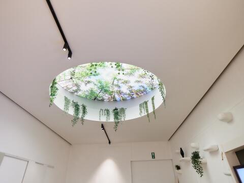 Imprimer plafond lumineux showroom Prof Projects